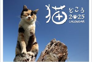 産経新聞社　猫どころカレンダー 2025 ([カレンダー])