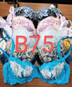 ブラジャー　B75 5枚セット