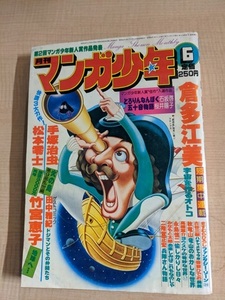 月刊マンガ少年1979年6月号/竹宮恵子/手塚治虫/倉多江美/高橋葉介/ますむらひろし/みなもと太郎/永島慎二/松本零士