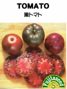 ＜野菜の種＞黒トマト　２０粒　ブラック　たね