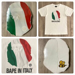 ★未開封★ イタリア 国旗 BAPE HEAD 圧縮 Tシャツ Mサイズ a bathing ape italy flag NIGO エイプ ベイプ アベイシングエイプ m60