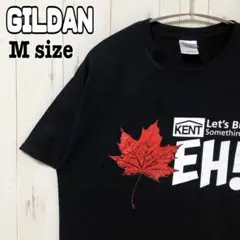 GILDAN ギルダン メンズ プリントtシャツ 黒 葉っぱ Mサイズ 海外古着