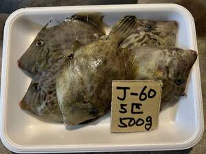 【和歌山産】 　カワハギ・丸ハゲ　（5匹　500ｇ）　冷凍　刺身OK　（黒）J-60