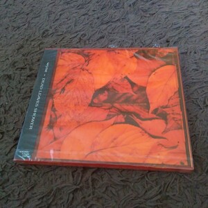 wyse DEAD LEAVES SHOWER CD 新品 未開封 レア 貴重 入手困難 ーズアイテム プレミア 廃盤 カラーケース 廃盤