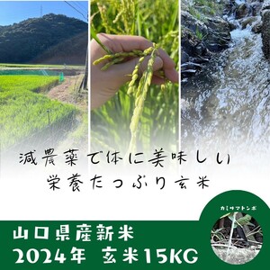 新米 玄米 コシヒカリ 15kg 送料込 令和6年産 山口県下関産 お米