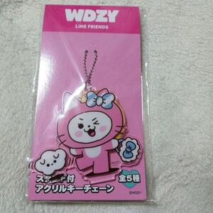 新品 WDZY スタンド付アクリルキーチェーン CABBIT アクキー 送料無料 キャラクターグッズ 売品 プライズ マスコット LINE FRIENDS