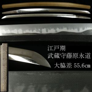 【LIG】江戸期 武蔵守藤原永道 大脇差 55.6㎝ 白鞘 砂流し 働き豊富 華やかな丁子乱れ [.OO]24.12