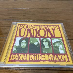 SOUL FLOWER UNION/EACH LITTLE THING ソウルフラワーユニオン