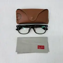 Ray-Ban レイバン RB2132F-902