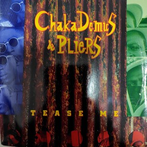 CHAKA DEMUS ＆ PLIERS／TEASE ME アナログ盤7インチシングルレコード 