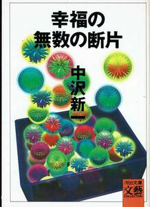 中沢新一、幸福の無数の断片,MG00001