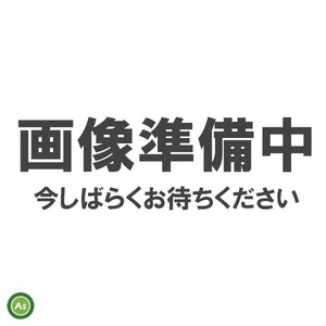 クボタ純正 コンバイン用 HSTオイルフィルター 3D950-58730 油圧エレメント　カートリッジ ミッション