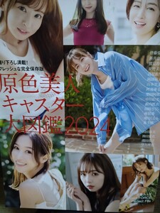 阿部華也子　直筆サイン本　原色美人キャスター大図鑑 cent.FORCE Perfect File 2024　生写真1枚付　文春ムック