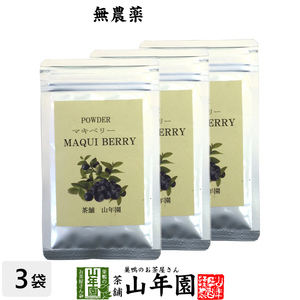 健康食品 無農薬マキベリー マキベリー パウダー 粉末 30g×3袋セット チリ産 無農薬栽培 送料無料