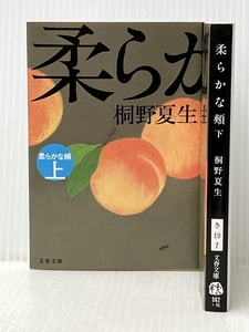 柔らかな頬 文庫版上下巻セット (文春文庫)