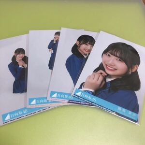 日向坂46 藤嶌果歩 絶対的第六感 封入生写真 4種コンプ 4枚 櫻坂46 アルバム CD 特典 MV(まとめ セット売り 可