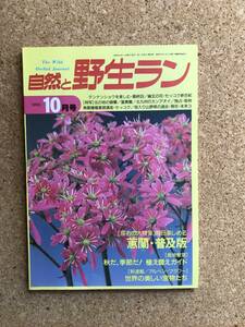 自然と野生ラン 1993年10月号　※ 蕙蘭 ミヤマウズラ 富貴蘭 セッコク テンナンショウ ※ 園芸JAPAN