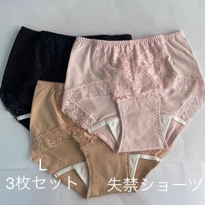 3枚組 L 尿漏れパンツ 20cc 失禁ショーツ 軽失禁 ベージュ テイジン レース 安心ショーツ 女性用 失禁パンツ レディース 婦人