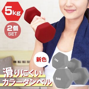 【2個セット/ダークグレー】滑りにくい カラー ダンベル 5kg 筋トレ エクササイズ 宅トレ シンプル ウエイトトレーニング ダイエット 新品 