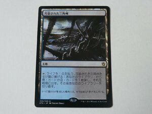 MTG 美品 【汚染された三角州】 （レア） タルキール覇王譚 KTK 日 1枚迄