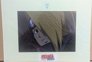 NARUTO その9