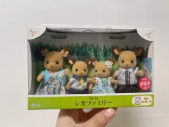 【雷市場（ポンジャン）商品韓国直送】 Sylvanian Families(シルバニアファミリー) オールド 男性だけの 家族