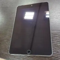 iPadmini4