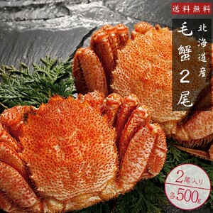 毛がに500g2尾(ボイル毛蟹)特大の北海道産毛ガニ 蟹味噌が最高のカニ 三大蟹の1つのけがに ボイル毛蟹