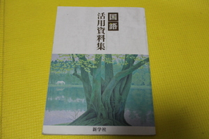 新学社 国語 活用資料集 中学校国語　　USED　教科書　