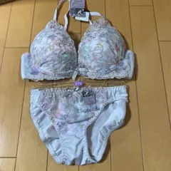 ブラジャーショーツセットD75