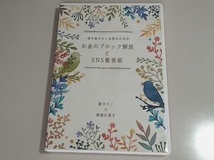 突き抜けたい女性のためのお金のブロック解放とSNS集客術　/　碇のりこ　南城久美子