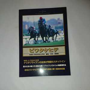 ビワタケヒデ 藤田伸二騎手 種牡馬パンフレット CBスタッド 送料無料