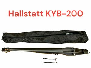 Hallstatt KYB-200 ハルシュタット アップライトベース　ソフトケース付き