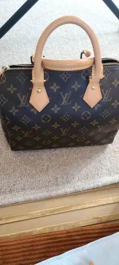 Louis Vuitton スピーディー25 ルイヴィトン