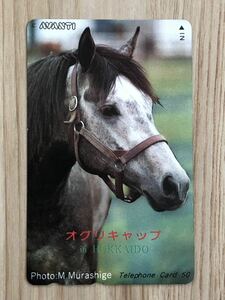 【未使用】テレホンカード　オグリキャップ　北海道　競馬