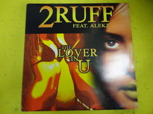 2 Ruff ft. Shanaa Only You (That I Need) キャッチーメロディアス R&B 12 人気のサウンド　The Lover In You 収録 　視聴