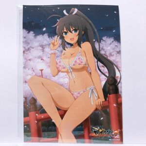 閃乱カグラ NewWave Gバースト 焔 3 ほむら 銀塩ブロマイド くじコレ 2L版サイズ