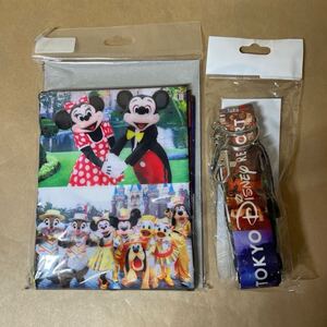 TDR★カメララッピングクロスとネックストラップ★篠山紀信撮影★実写★イマジニグ・ザ・マジック★東京ディズニーランド　30周年