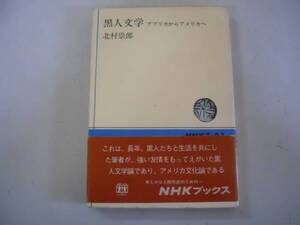 ●黒人文学●アフリカからアメリカへ●北村崇郎●NHKブックス●