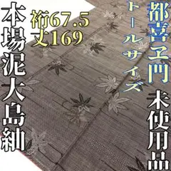 【着物と帯 時流】オ24795◇本場泥大島紬◇金ラベル 都喜ヱ門 トールサイズ