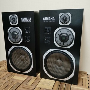 YAMAHA NS 1000m