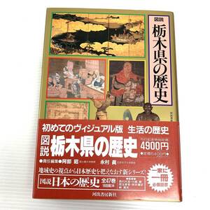 図説　栃木県の歴史　河出書房新社　1993年発行　初版　帯付き　郷土史　202408-9