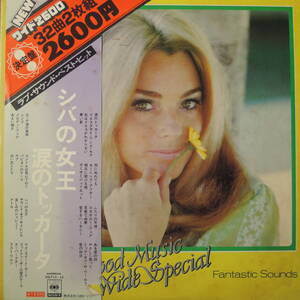 Fantastic Sounds Orchestra Mood Music Wide Special LPレコード