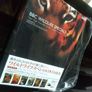 BBC ワイルドライフ・スペシャル　DVD-BOX 6枚　 DISC 　セット　トラ　ワシ　ワニ　ゴリラ　ヒョウ　ヘビ　美品　中古品　野生　貴重映像