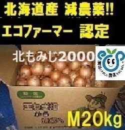 【エコファーマー農家直送』北海道産 玉ねぎ Mサイズ 20kg 