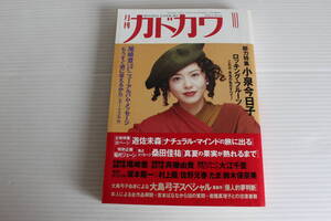 月刊カドカワ 1990年10月　総力編集 小泉今日子 ロッキング・フルーツ