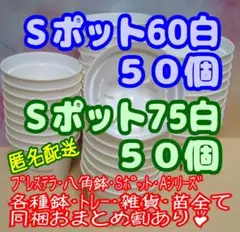 【スリット鉢】Ｓポット丸型60＆75白 各50個 プレステラ 多肉植物 プラ鉢