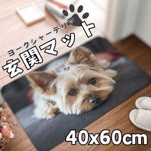 玄関マット フロアマット ヨークシャーテリア 犬 バスマット60×40 ブラック