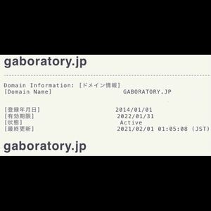 早い者勝ち★使用料1年延長済2024/2/1〜★jpドメイン gaboratory.jp / ガボラトリー Gabor ガボール