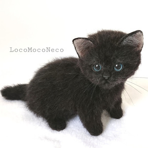 LocoMocoNeco 羊毛フェルト 猫 ちょこんとお座りマンチカンの子猫 (黒) ハンドメイド リアル ドール インテリア ろこもこねこ